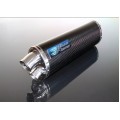 Rev Tec Evo Carbon Fibre Oval with twin outlet for CB400